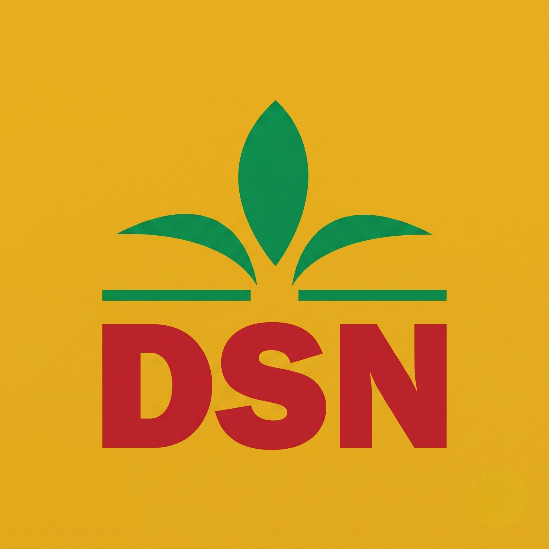 DSN